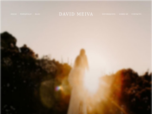 davidmeiva.com