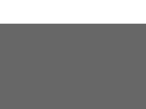 excelsignworks.com