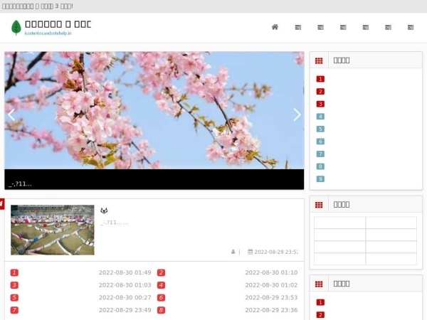 kostenlos.websitehelp.in